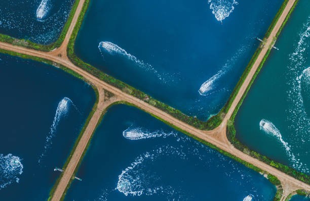 Desenvolvimento Sustentável da Aquicultura | Investimento Produtivo