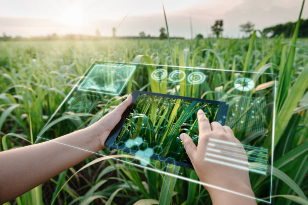 Apoio ao Investimento produtivo na Bioeconomia – Modernização da Agroindústria